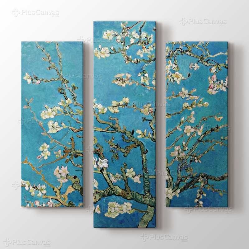 Çiçek Açan Badem Ağacı - Almond Blossom görseli.