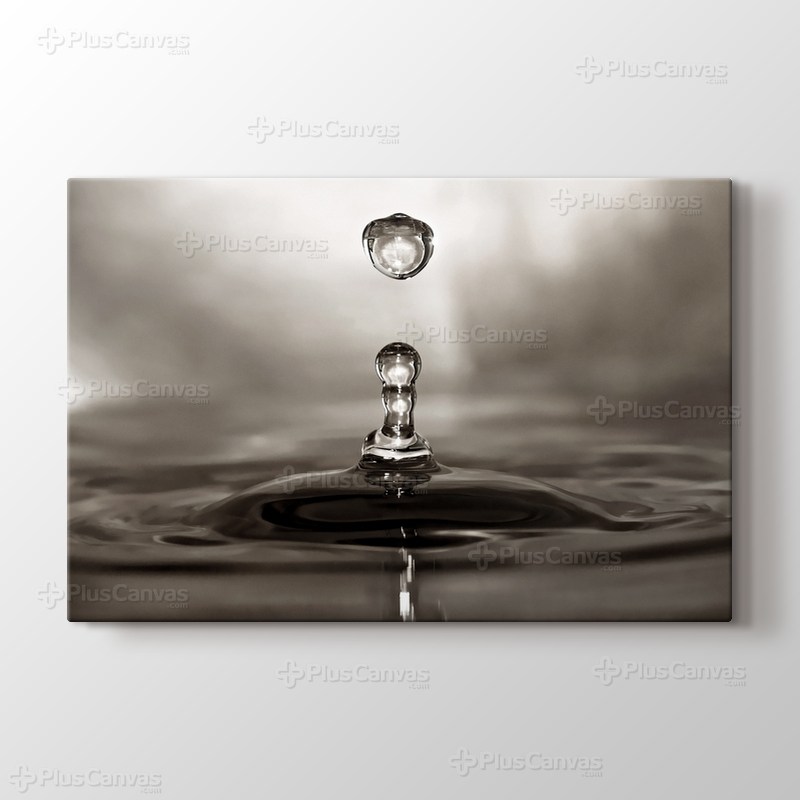 Water Drop görseli.