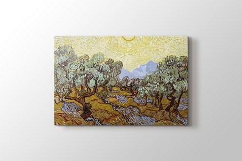 Olive Trees görseli.
