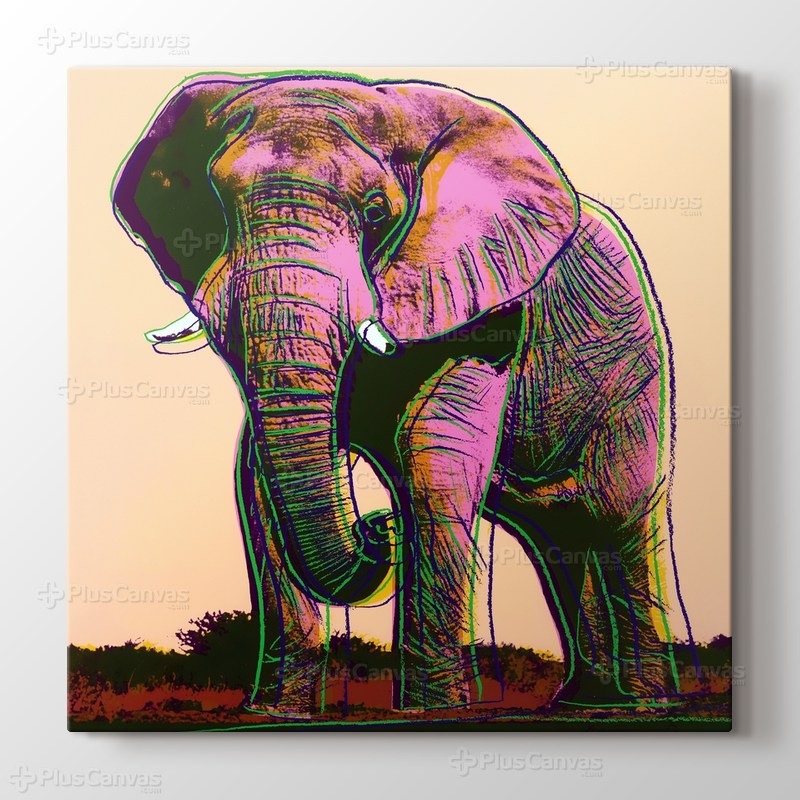 Elephant görseli.