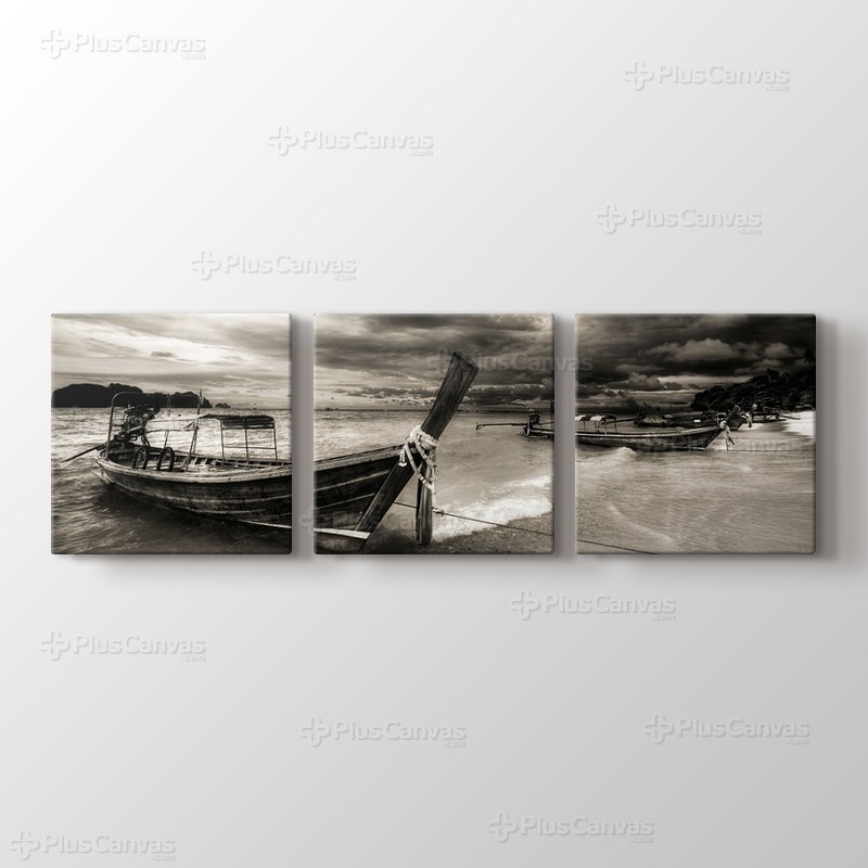 Boats on Coast görseli.