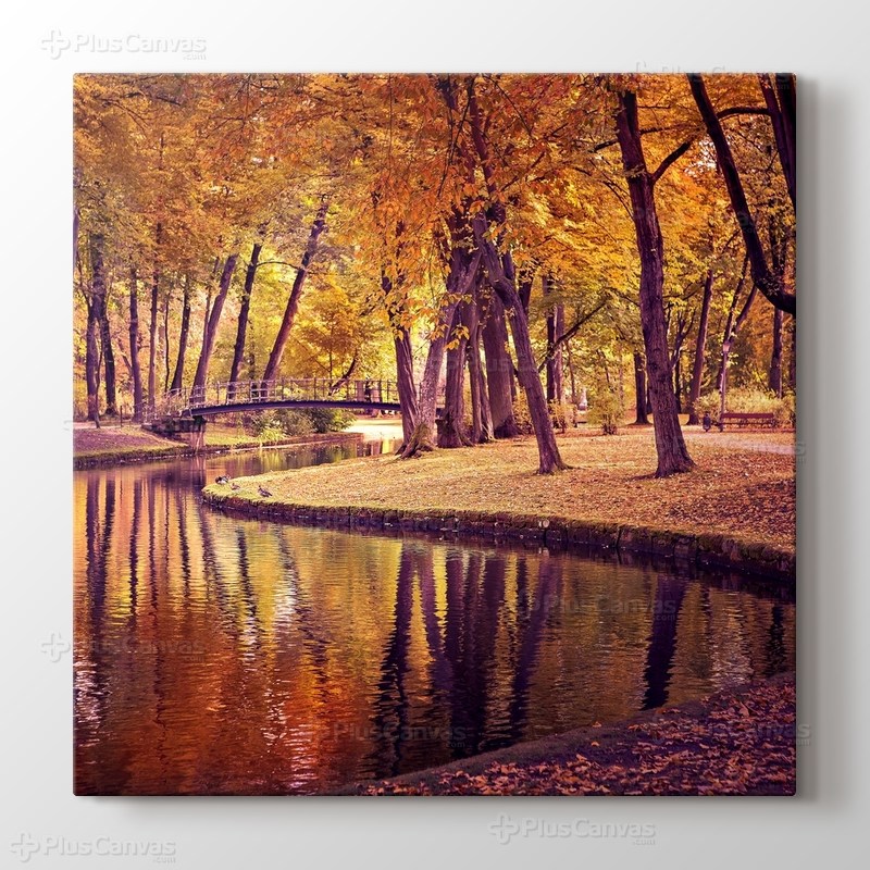 Sonbahar Renkleri görseli.