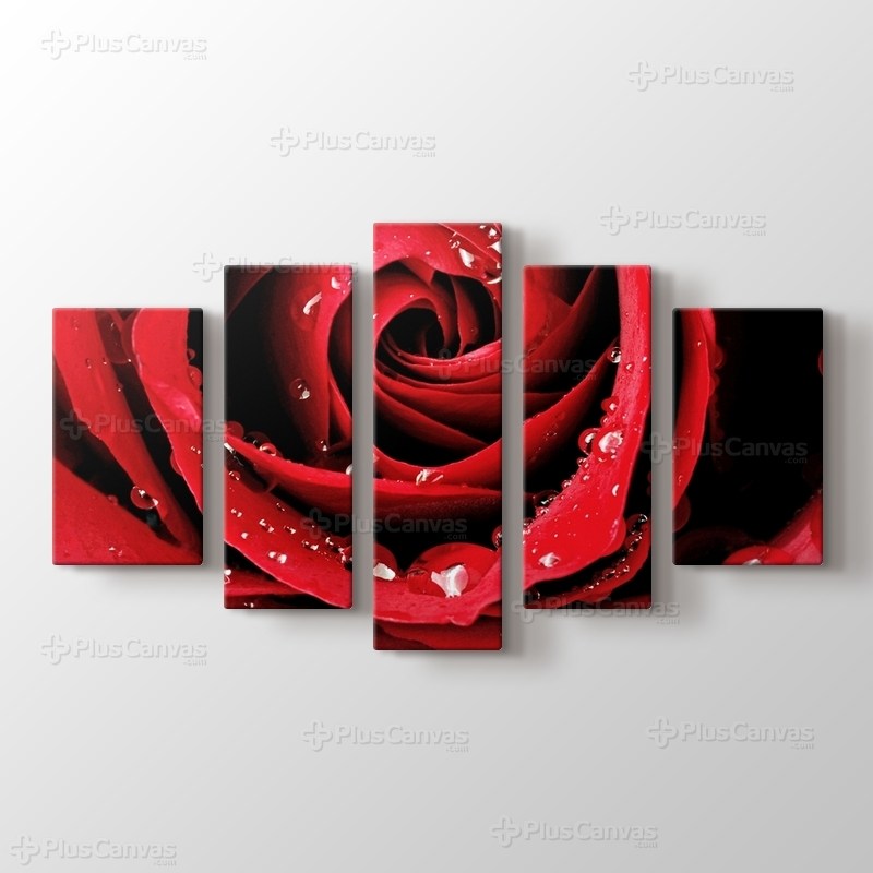 Red Rose Close Up görseli.