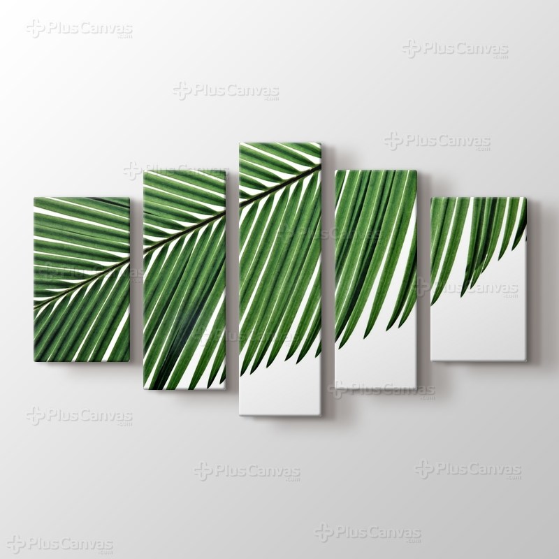 Palmiye Yaprağı görseli.