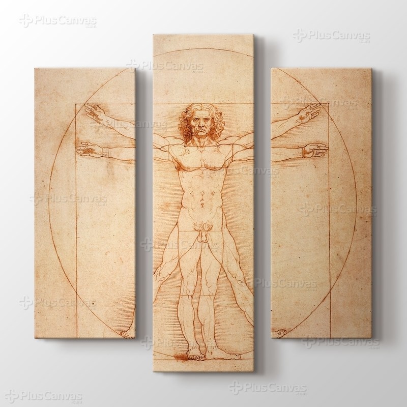 Vitruvian Man görseli.