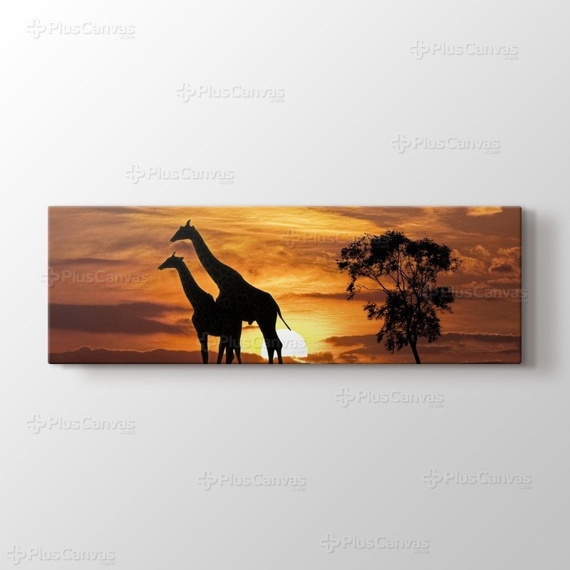 Giraffes and the Sunset görseli.