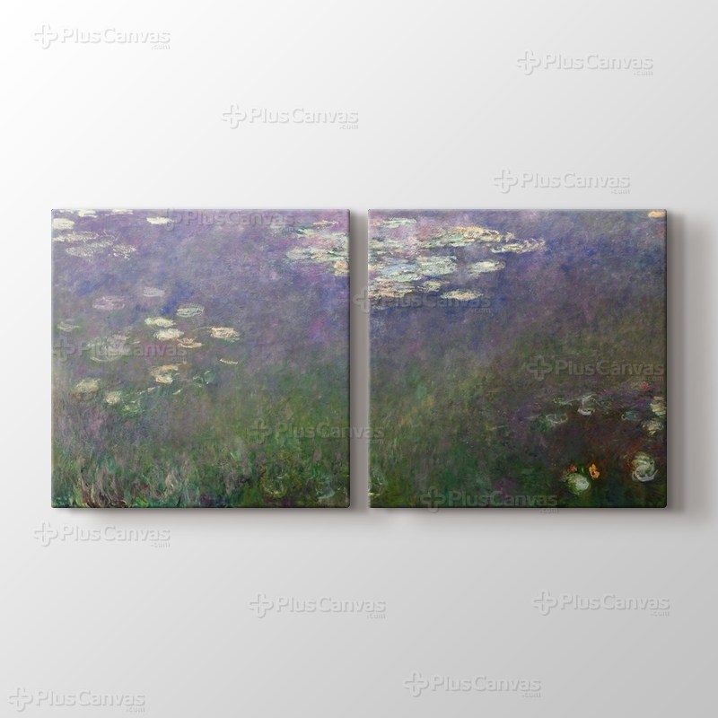 Water Lilies - Agapanthus görseli.