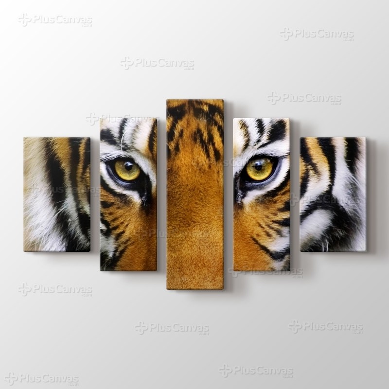 Tiger Face görseli.