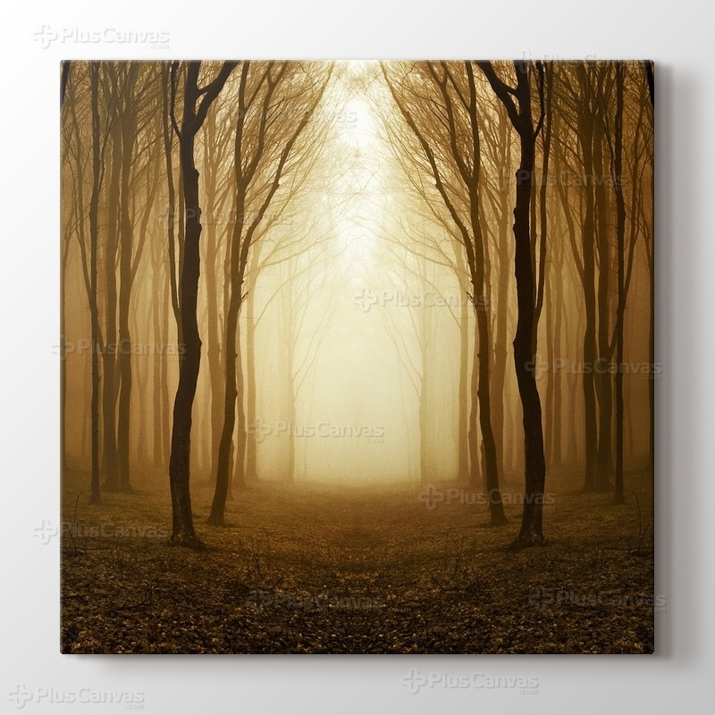 Altın Orman görseli.