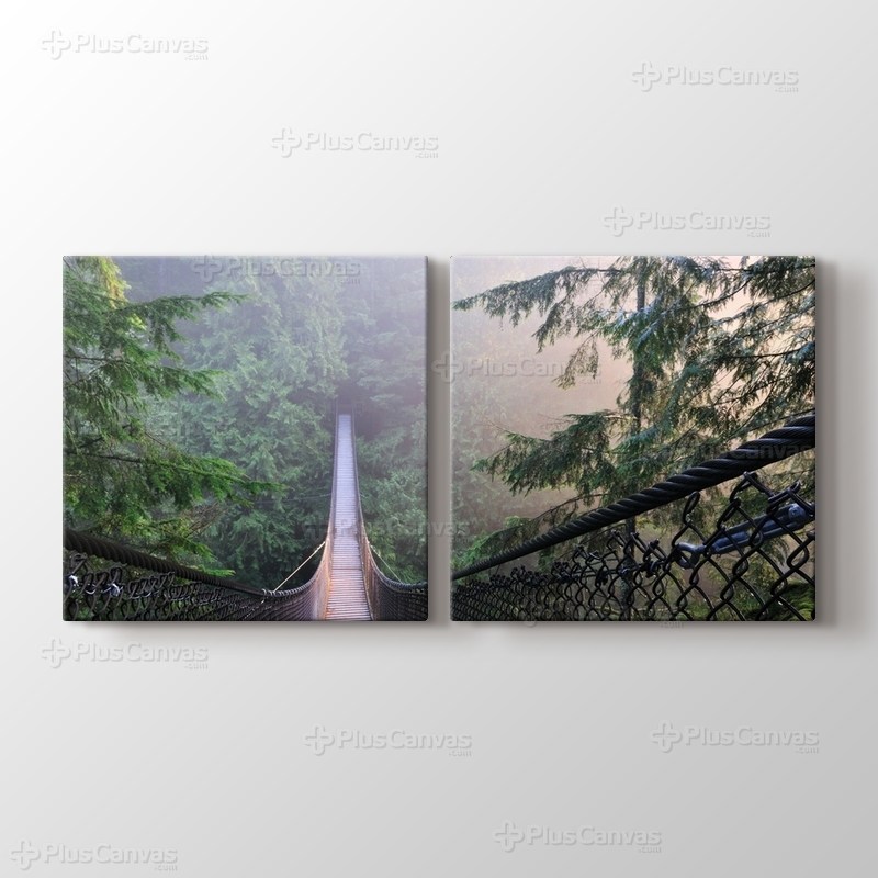 Kanada Lynn Canyon Park görseli.