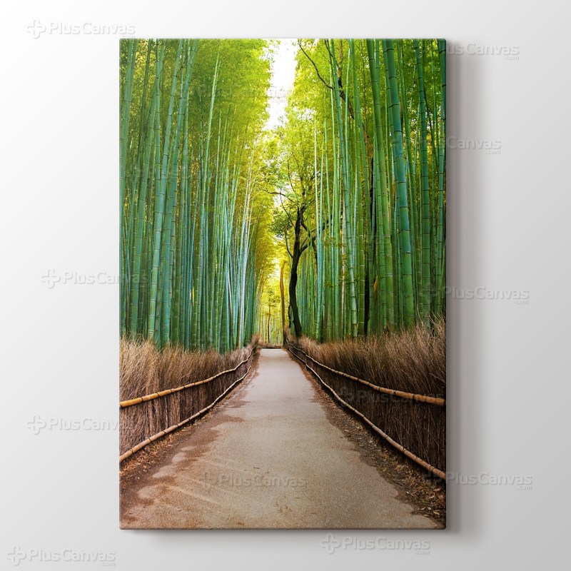 Bamboo Forest in Kyoto Japan görseli.