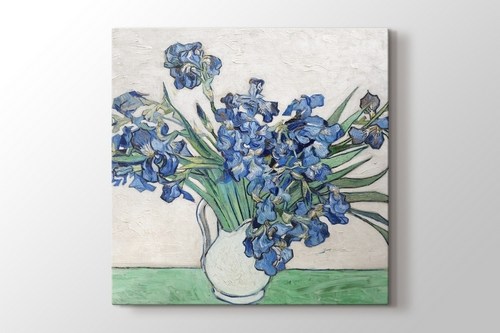Irises görseli.