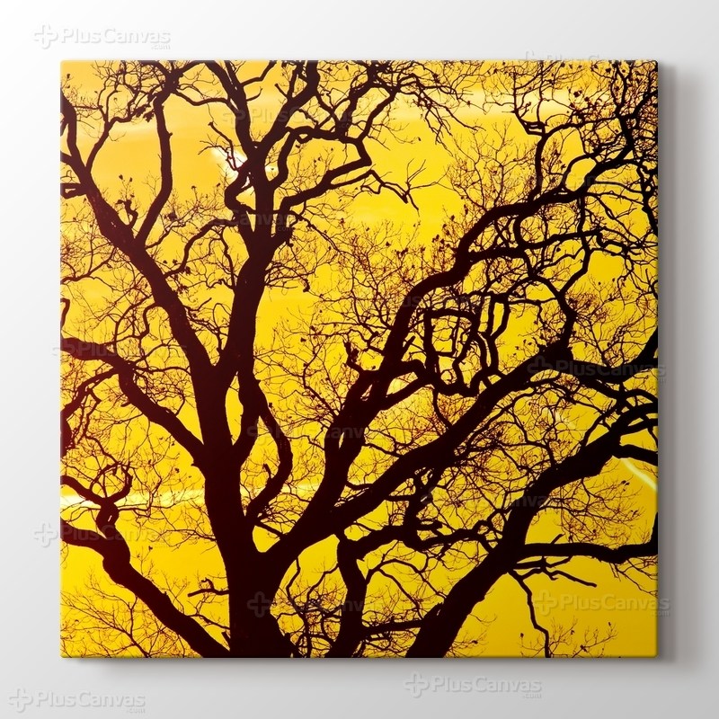 Sarı Gökyüzü görseli.