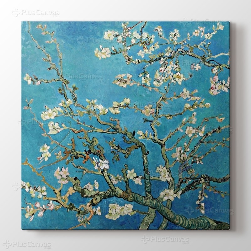 Çiçek Açan Badem Ağacı - Almond Blossom görseli.
