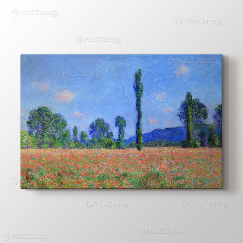 Poppy Field Giverny görseli.