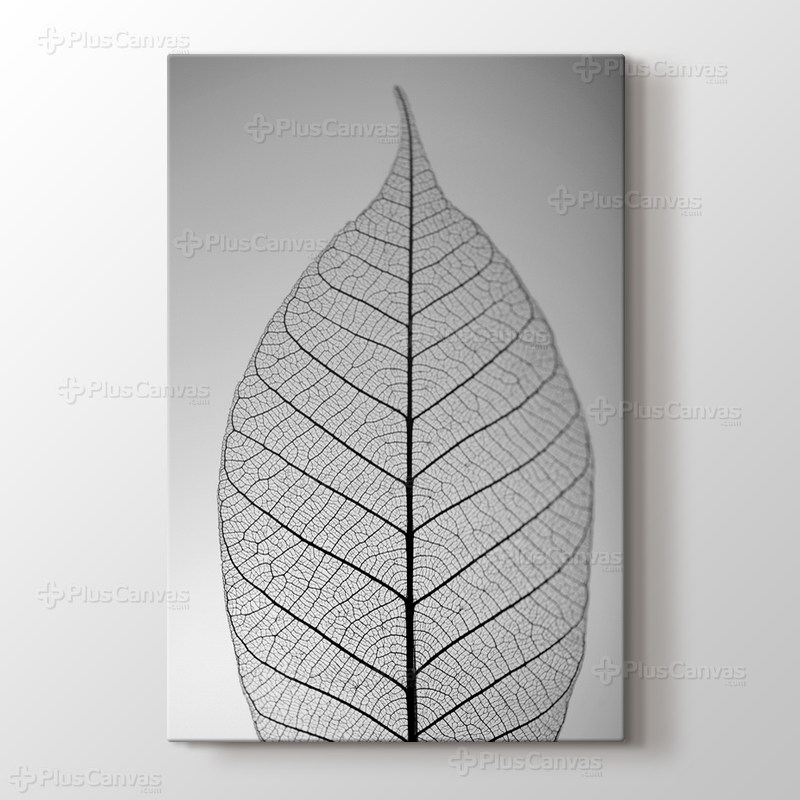 Skeleton Leaf görseli.