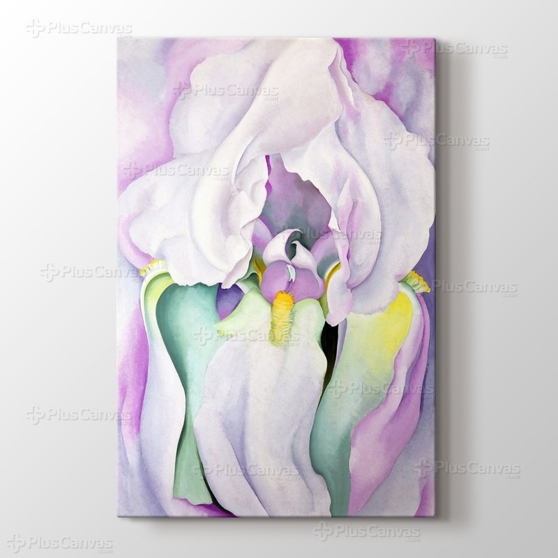 White Iris görseli.