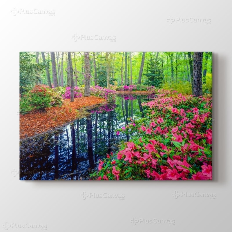 Spring Azalea Blossoms In Southern Woodland Garden görseli.