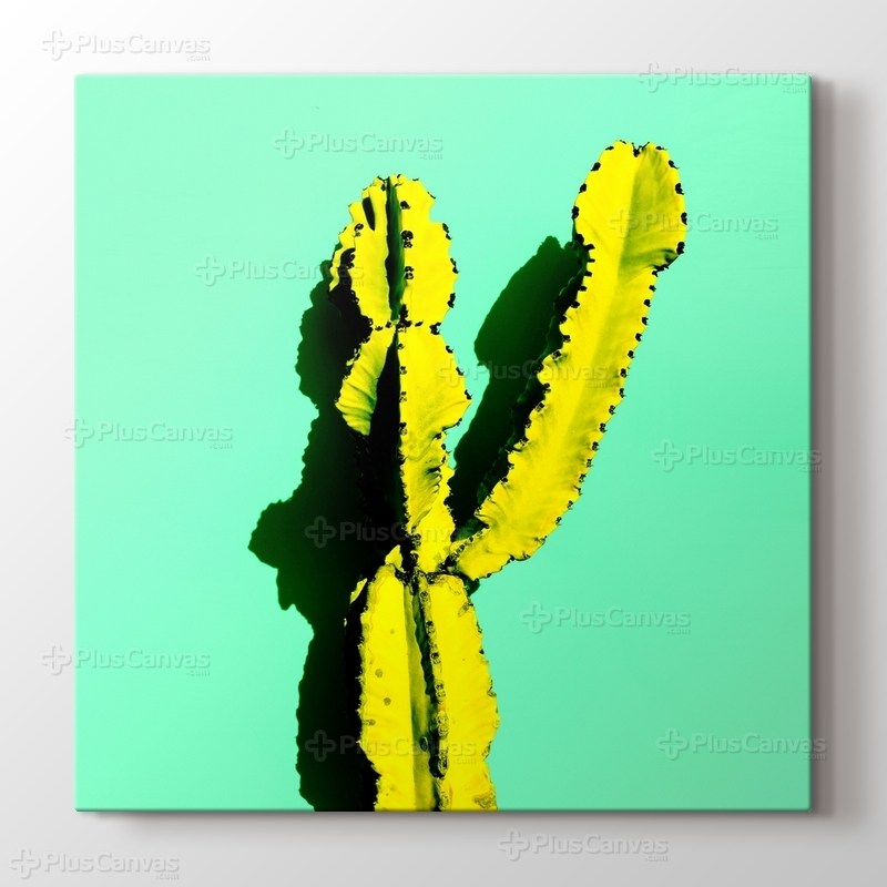 Sarı Kaktüs görseli.