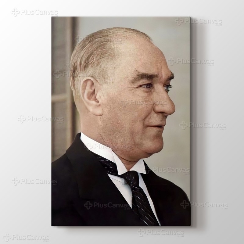Atatürk Portre görseli.