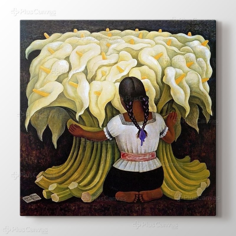 Vendedora Alcatraces görseli.