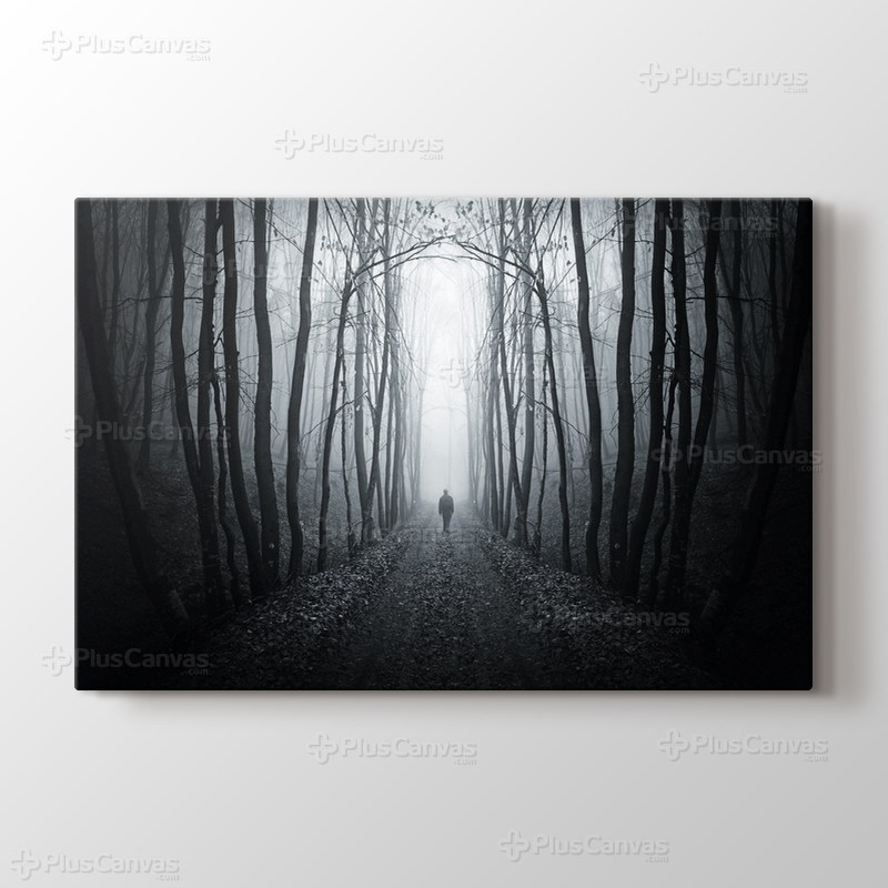 Ormanda Yol görseli.