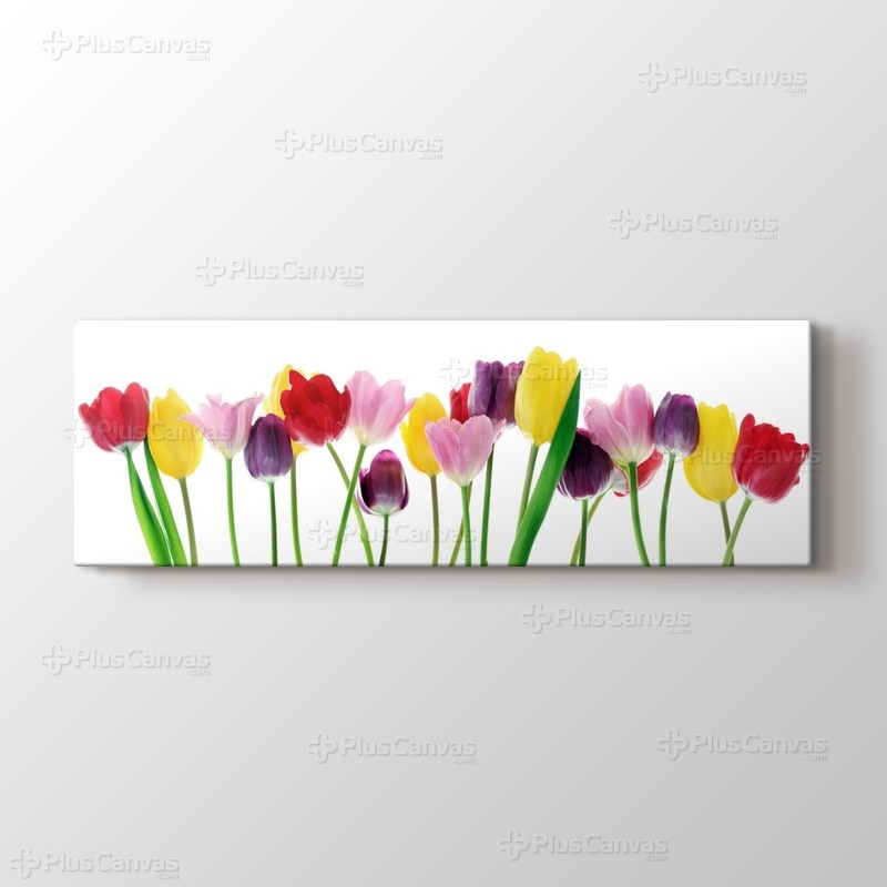 Sıralı Bahar Laleleri görseli.