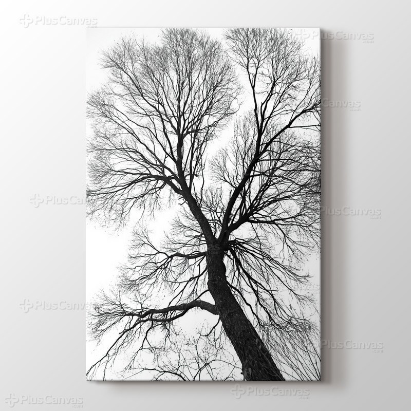 Ağaç Perspektif görseli.