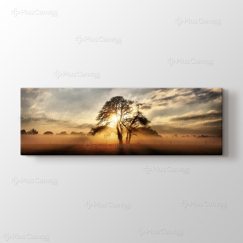 Sunlight through Tree görseli.