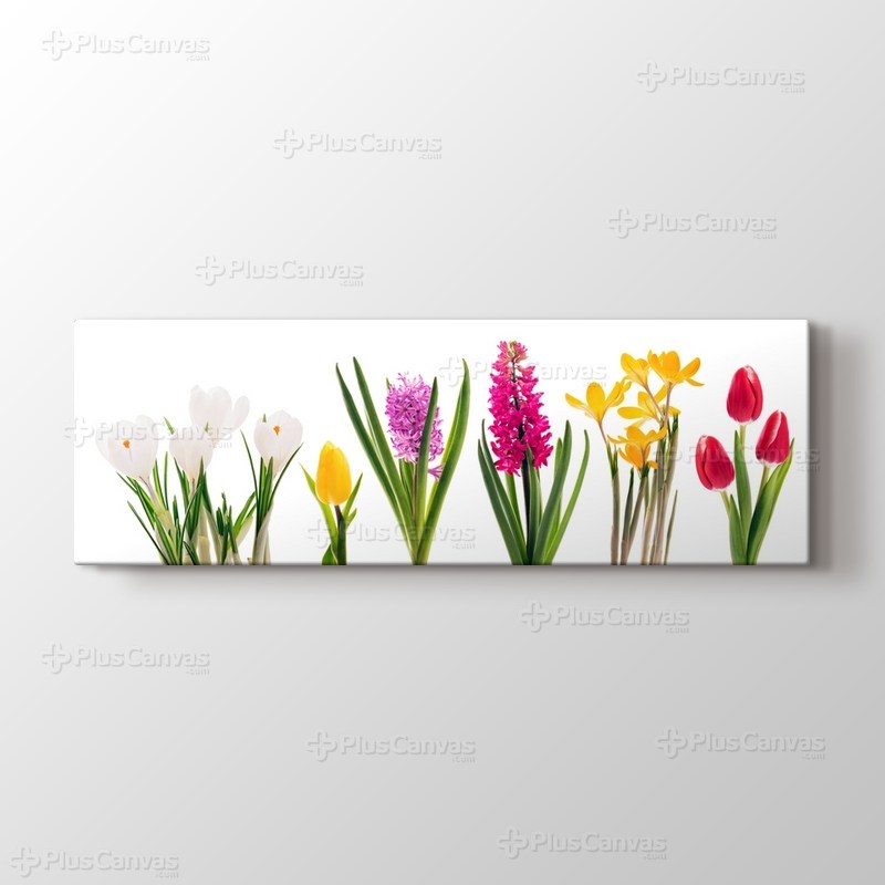 Colourful Flowers görseli.