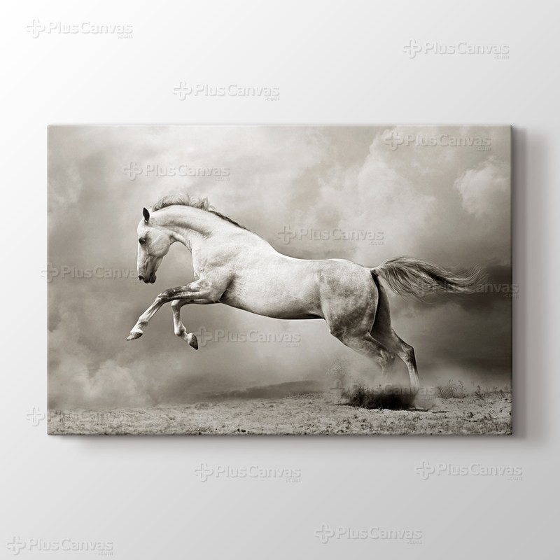 Gümüş Rengi At görseli.