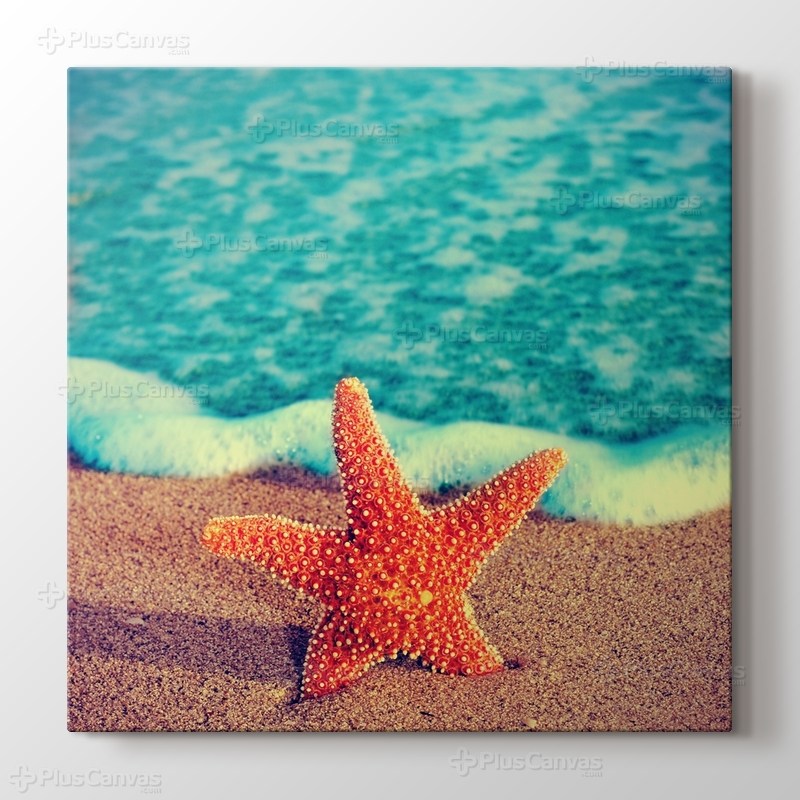 Deniz Yıldızı görseli.