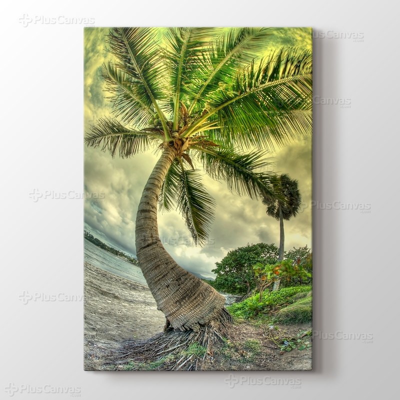 Palm on the Beach görseli.