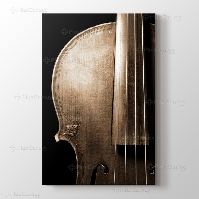 Violin görseli.