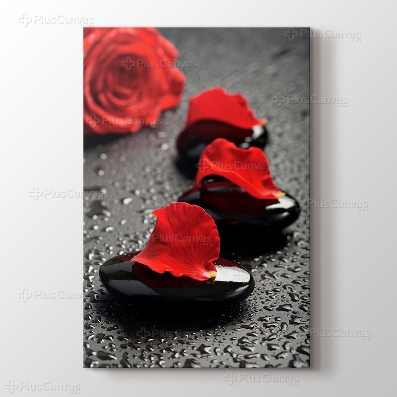 Black Pebbles and Red Rose görseli.