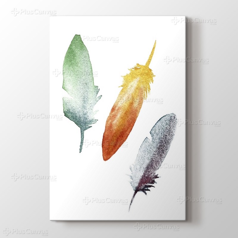 Coloured Feathers görseli.