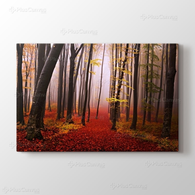 Sonbaharda orman patikası görseli.