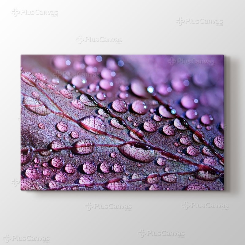 Aqua Drops görseli.