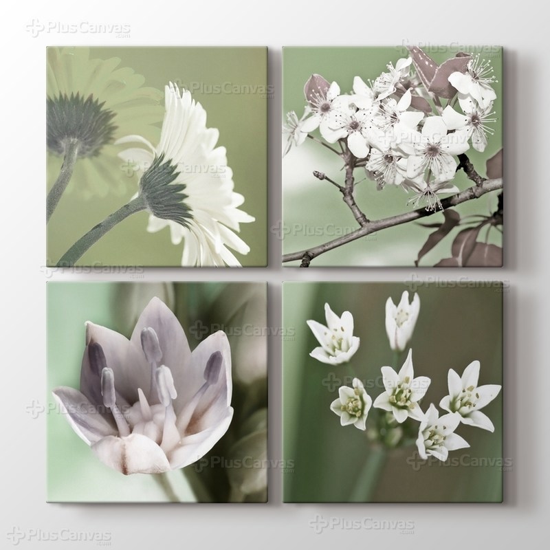 Quattro Flowers görseli.