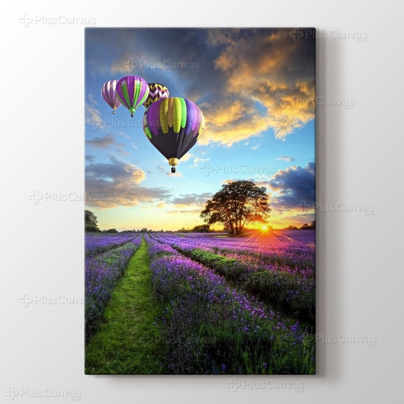 Lavanta Tarlası görseli.