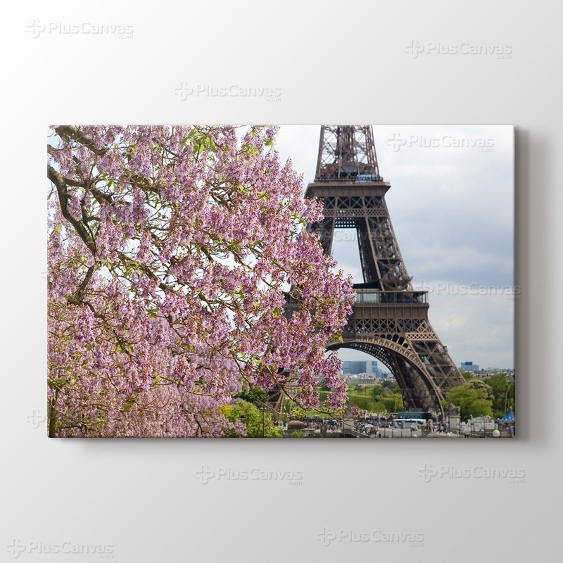 Eiffel Behind a Tree görseli.