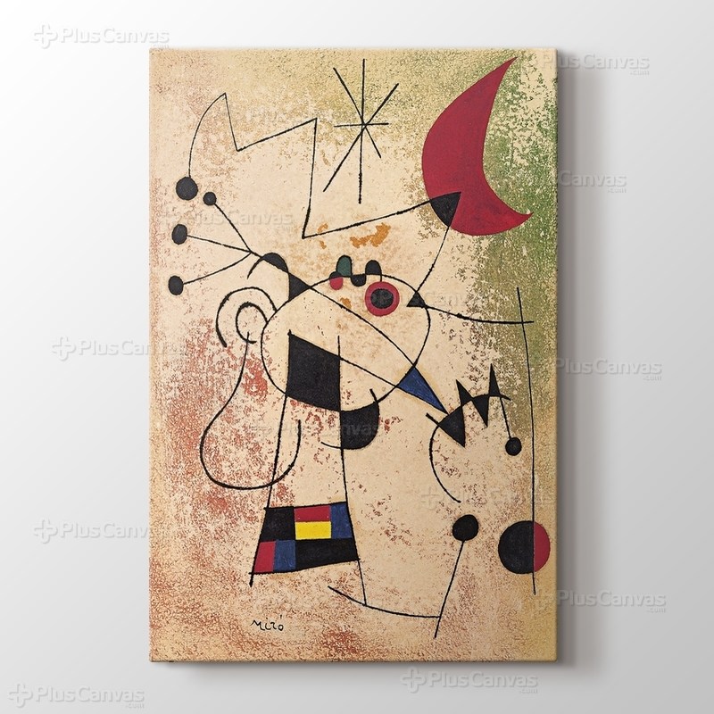 Pajaro Relampago Cegado Fuego Luna görseli.