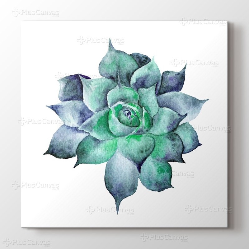 Watercolor Sukkulent görseli.