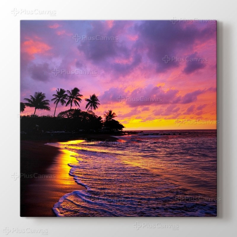 Tropik Sahil görseli.