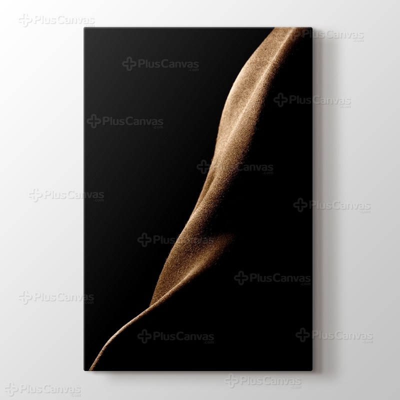 Stardust Slides görseli.