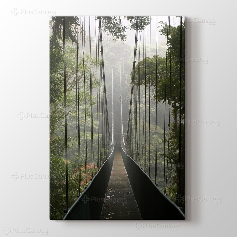 Ormanda Asma Köprü görseli.