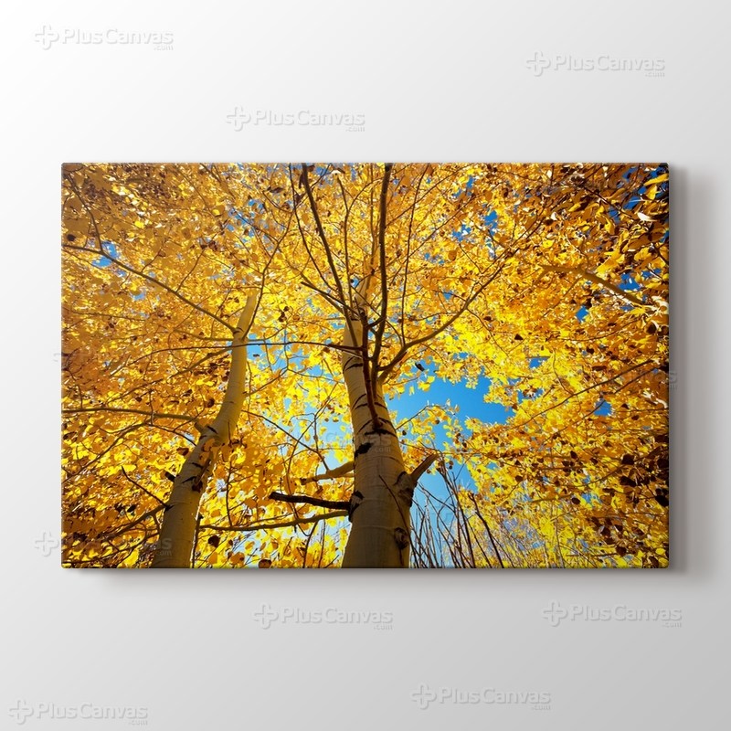 Sonbahar Ağaçları görseli.