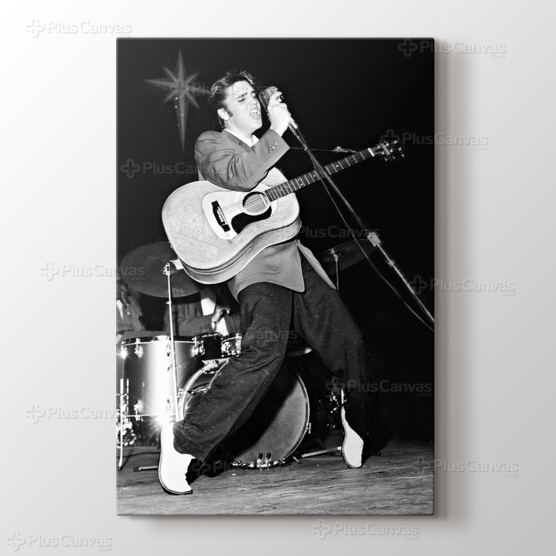 Live in Miami görseli.