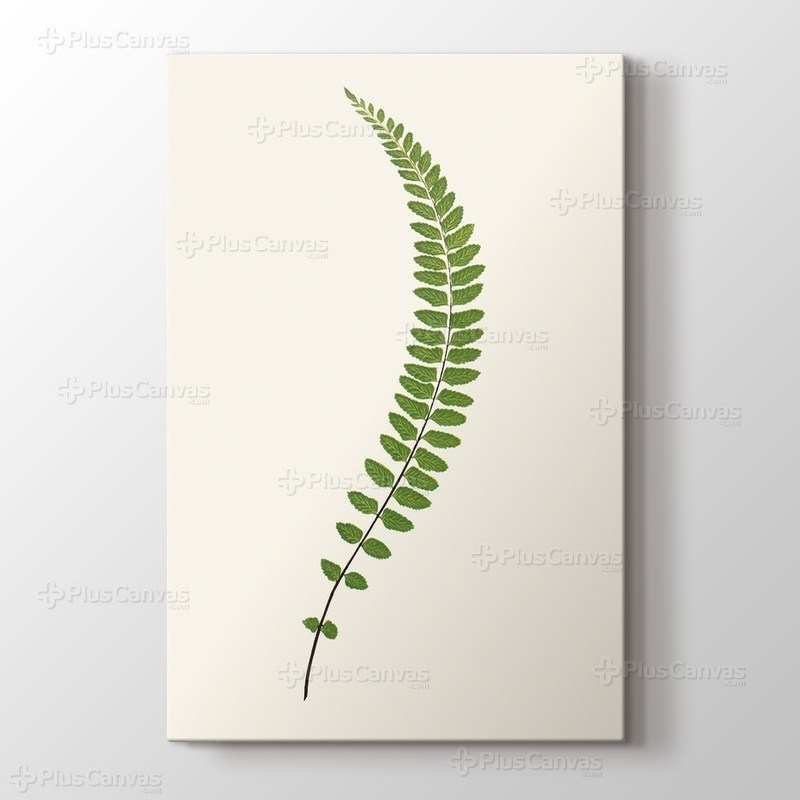 Eğreltiotu görseli.