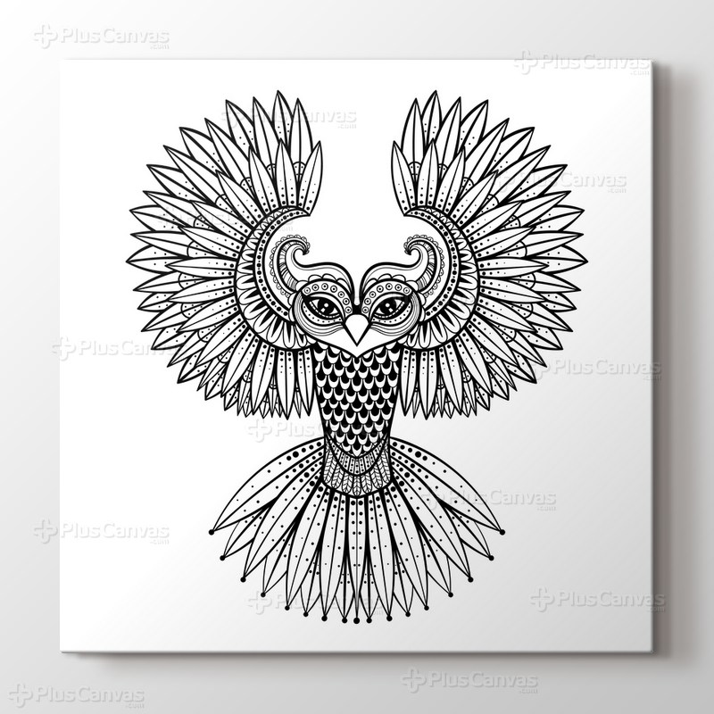 Baykuş boyama tablo görseli.